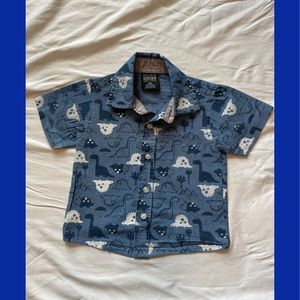 12 month boy, dinosaur button down shirt